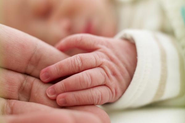 Eine Babyhand hält eine Erwachsenenhand